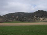 mini-IMG_3909.JPG