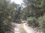 mini-IMG_3913.JPG