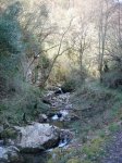 DSC02029.jpg