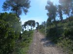 DSCN6116.JPG