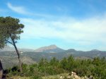 DSCN6121.JPG