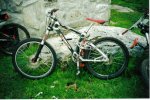 gt lts lobo dh 1998.jpg