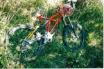 lassbo dh.jpg