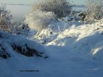 nieve 201.jpg