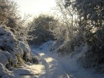 nieve 202.jpg
