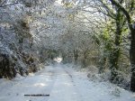nieve 2008.jpg