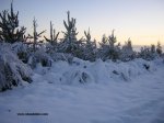 nieve 2010.jpg