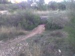 Imagen003.jpg