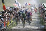 rbx07-arenberg700[1].jpg