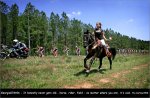 tdg07st06-horse[1].jpg