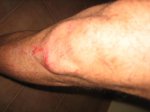 IMG_2953.jpg
