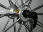 IMGP7096.jpg