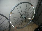 DSCN2391.jpg