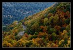 _MG_6730.jpg