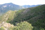 IMG_3643.JPG