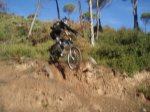 P1010126-3.jpg
