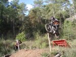 P1010168-3.jpg