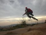 Nadal Freerider.jpg
