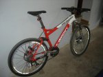 DSC01547.jpg