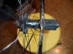 DSC07579.jpg