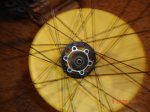 DSC07580.jpg