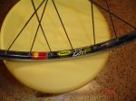 DSC07583.jpg