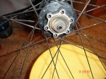 DSC07584.jpg