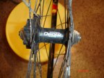 DSC07585.jpg