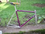 Vitus 01.JPG