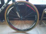 DSC00109.jpg