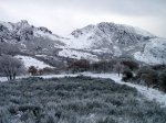PC010006 (Copiar).JPG