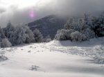 PC010014 (Copiar).JPG