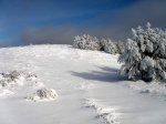 PC010015 (Copiar).JPG