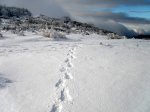 PC010017 (Copiar).JPG