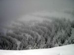 PC010027 (Copiar).JPG