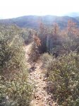 PIC_0198.jpg