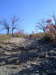 PIC_0157.jpg