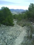 DSC00056.jpg