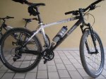 bicisy siniestro 137.jpg