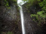 _IMG6393.jpg