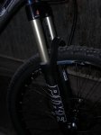 proflex 004 (Large).jpg
