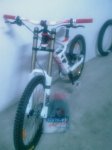 IMAG0087.jpg
