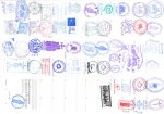 Acreditacion Jacobea Universitaria 3 (Small).jpg