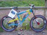 yetilawwillforsale08ws.jpg