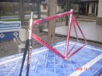 colnago reflex.JPG