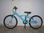 bici decathlon.JPG