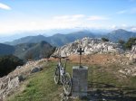 IMG_3010.jpg