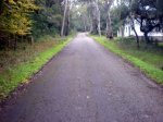 2008-12-06_00008.jpg