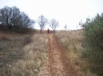 100_1269.JPG