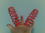muelles Rock shox.JPG
